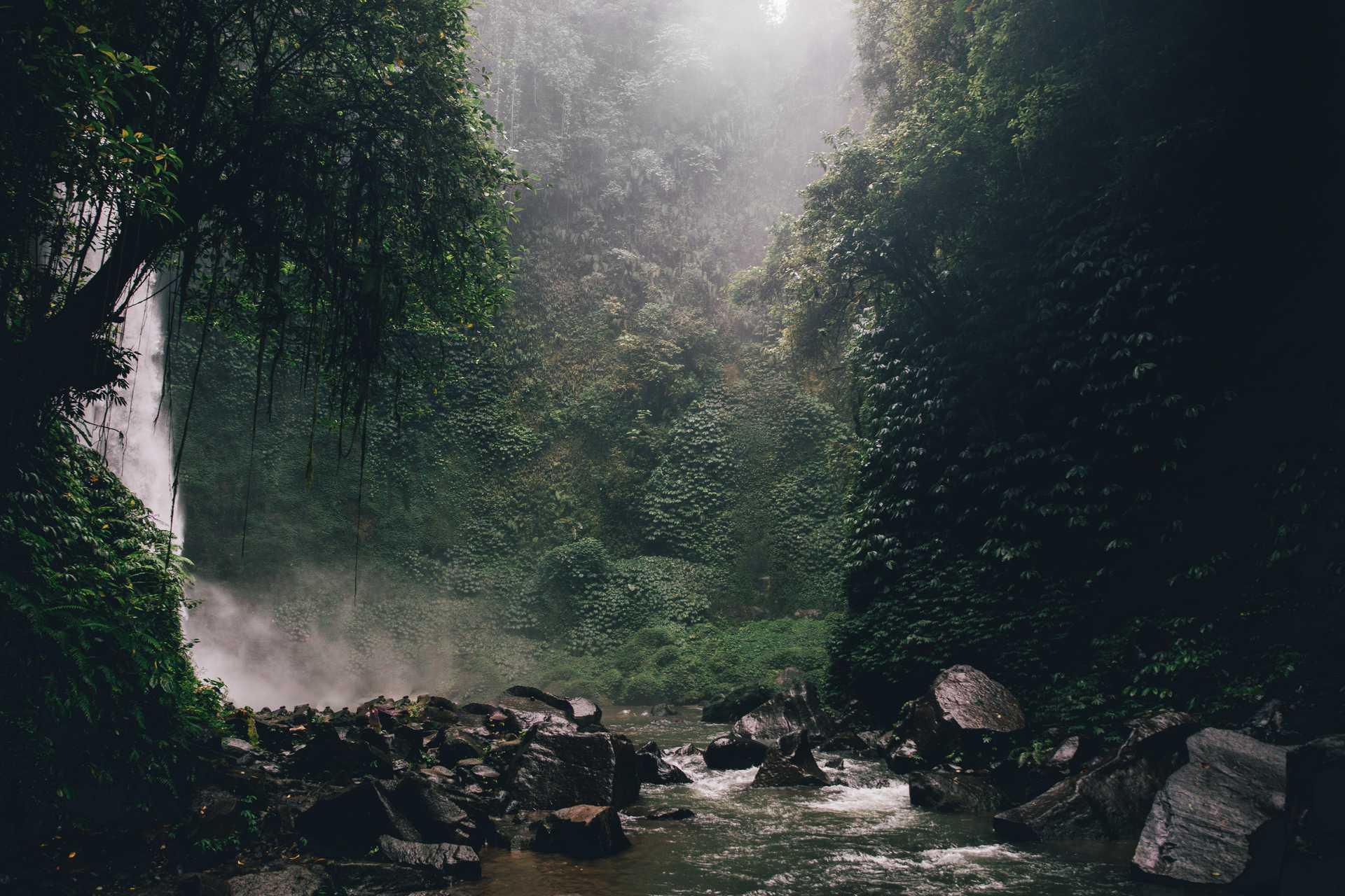 Bali, Indonesia. Forest, cliffs, and waterfall